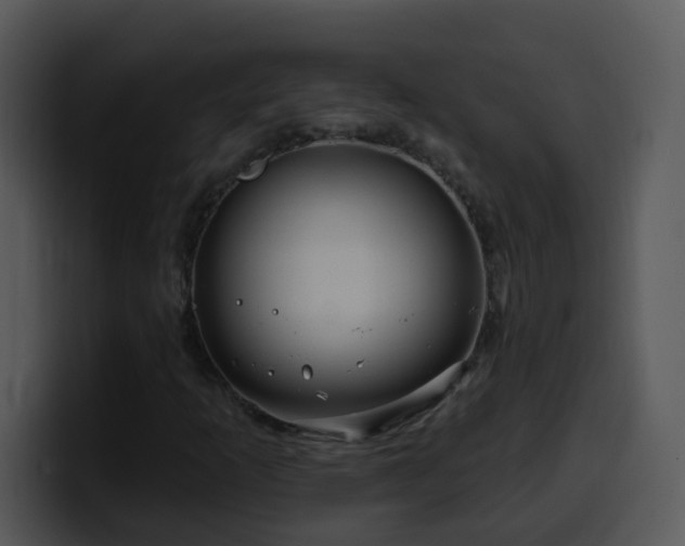 X0000100391253200806061247