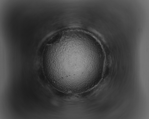 X0000100391255200806061247