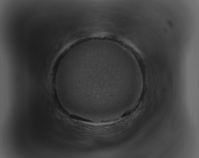 X0000100391256200806061247