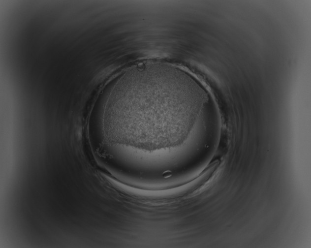 X0000100391257200806061247