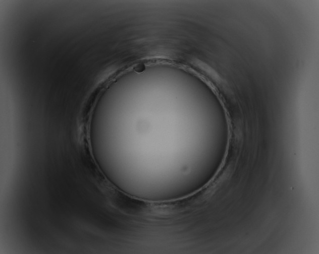 X0000100391258200806061247