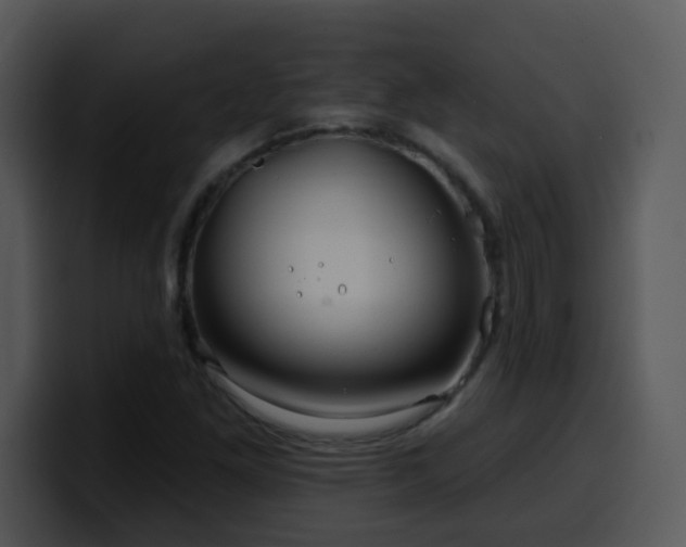 X0000100391261200806061247