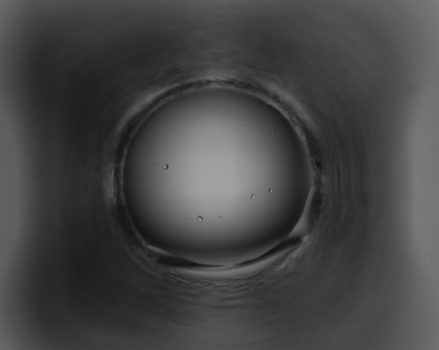 X0000100391262200806061247