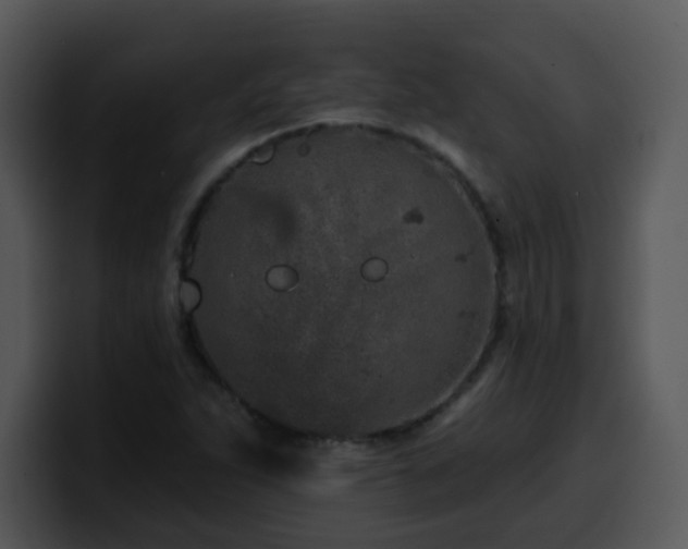 X0000100391263200806061247