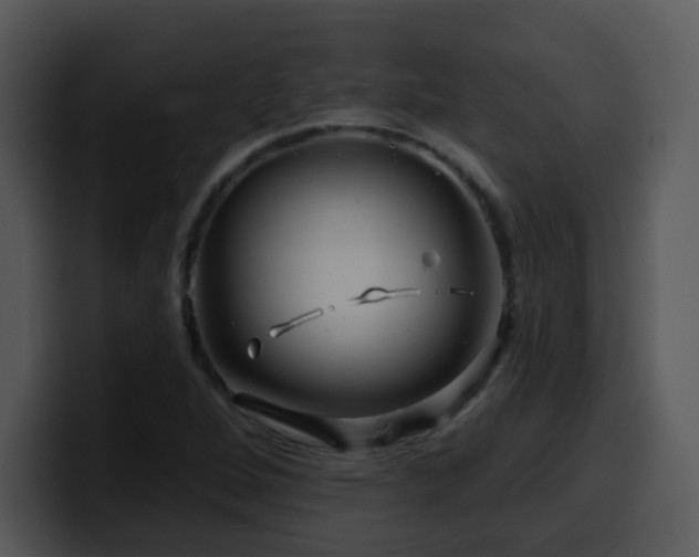 X0000100391264200806061247