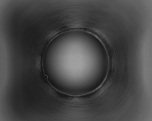 X0000100391265200806061247