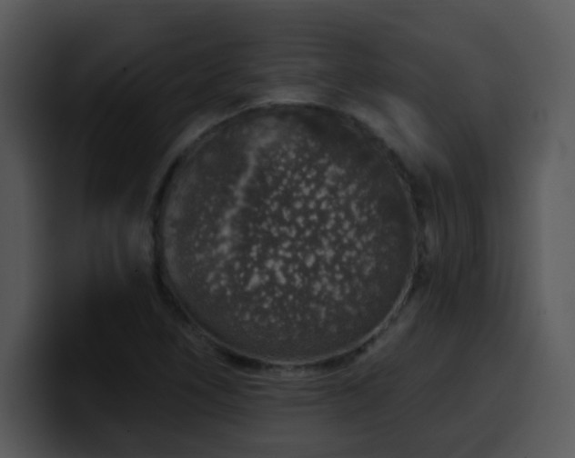 X0000100391266200806061247