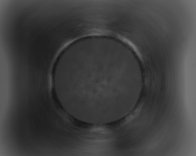 X0000100391267200806061247