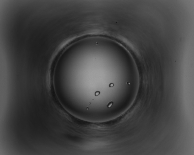 X0000100391270200806061247