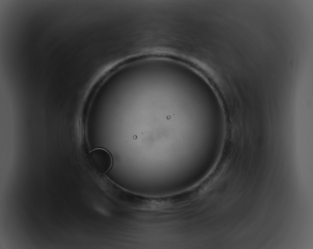 X0000100391271200806061246