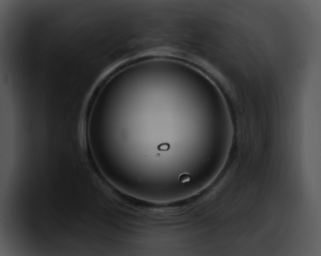 X0000100391272200806061246