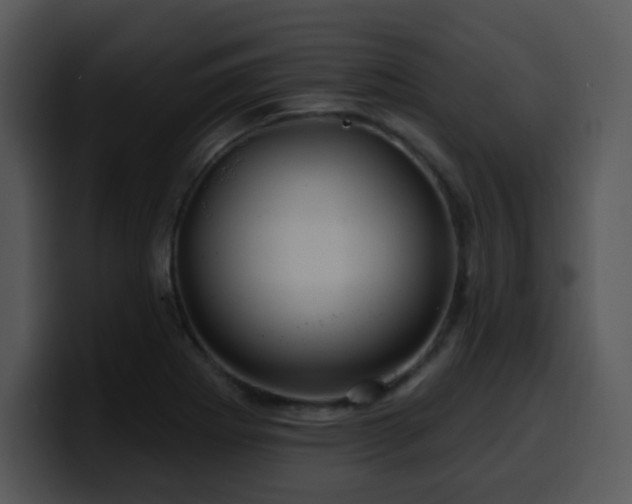 X0000100391273200806061246