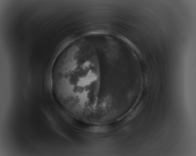 X0000100391274200806061246