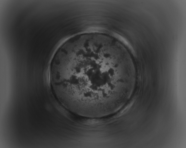 X0000100391275200806061246