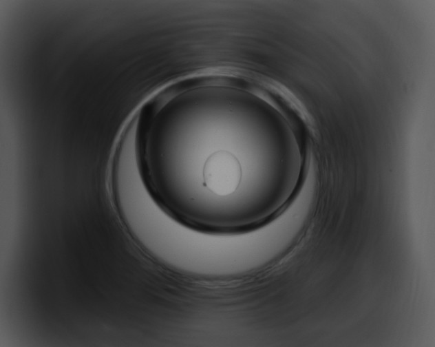 X0000100391276200806061246
