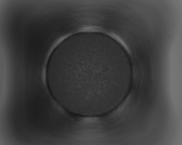 X0000100391277200806061246