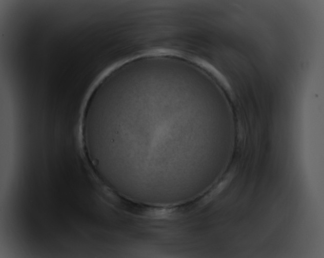 X0000100391278200806061246