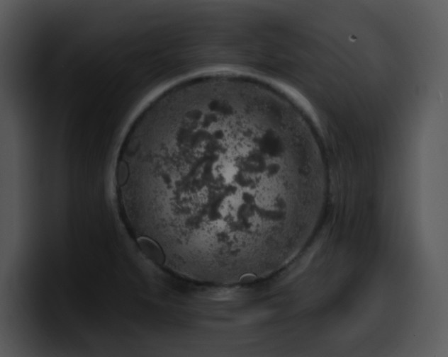 X0000100391279200806061246