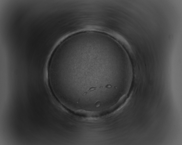 X0000100391280200806061246