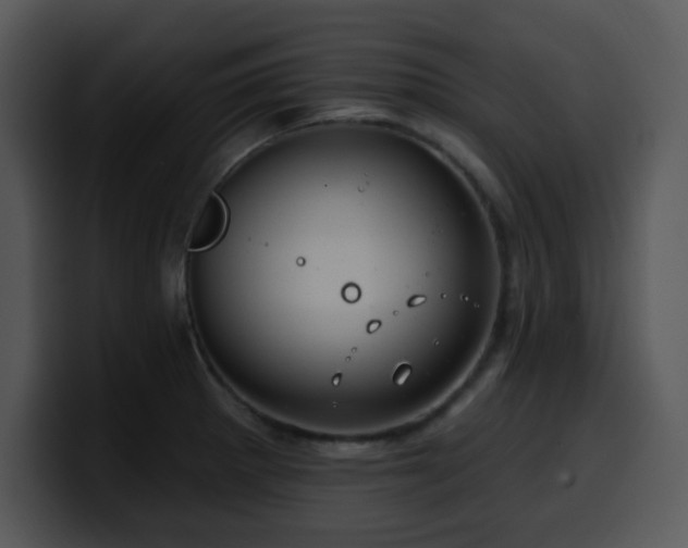 X0000100391281200806061246