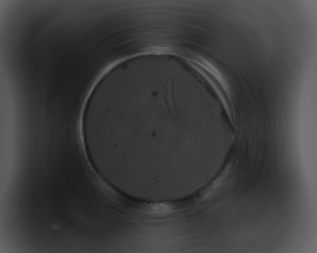 X0000100391283200806061246
