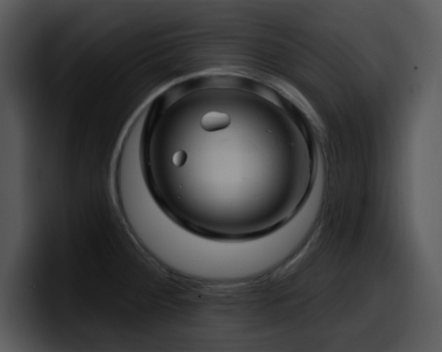 X0000100391284200806061246