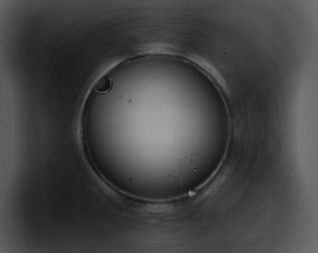 X0000100391285200806061246