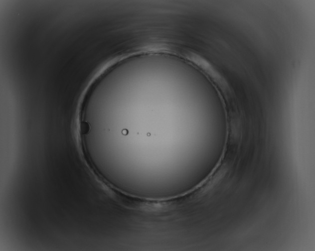 X0000100391286200806061246