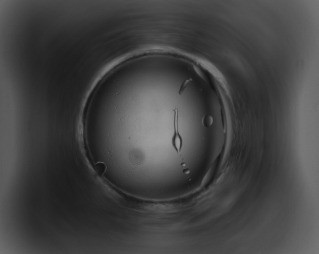 X0000100391287200806061246