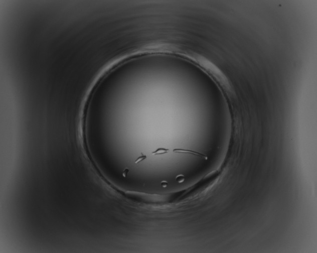 X0000100391288200806061246