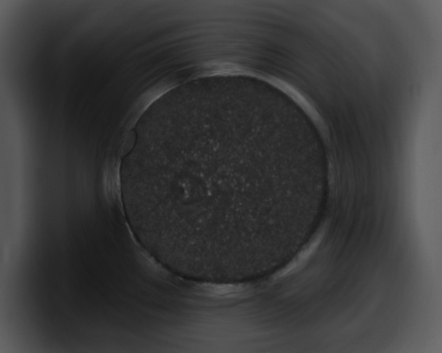 X0000100391289200806061246