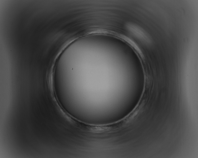 X0000100391290200806061246