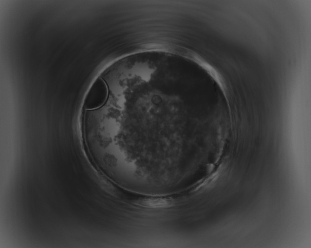 X0000100391291200806061246
