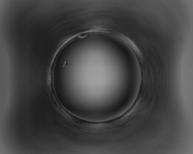 X0000100391292200806061246