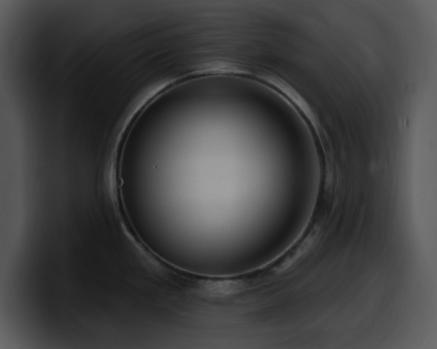 X0000100391293200806061246
