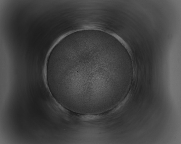 X0000100391294200806061246