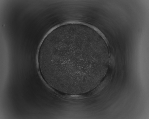 X0000100391295200806061246