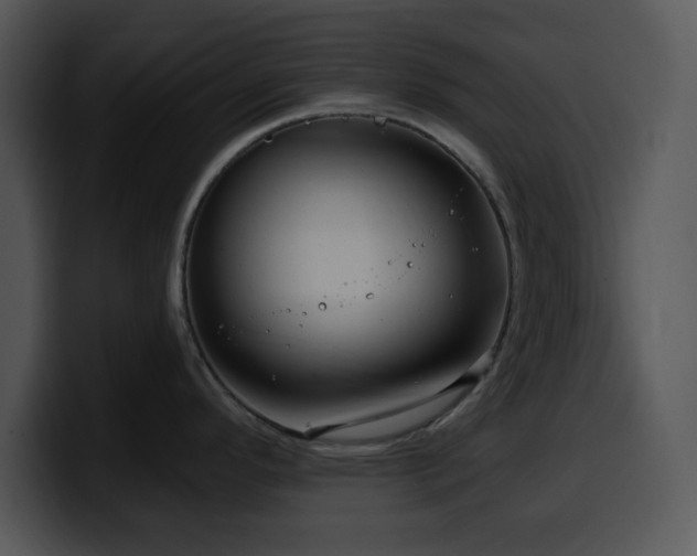 X0000100391296200806061246