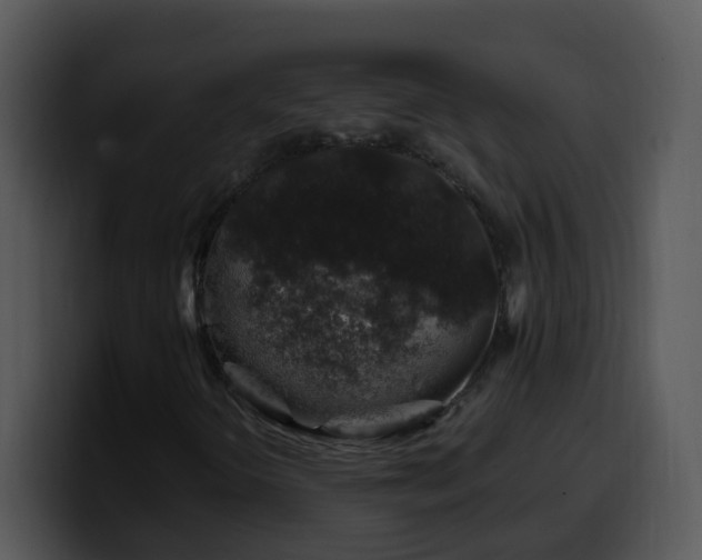 X0000100391298200806061246