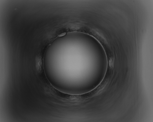 X0000100391299200806061246