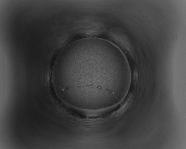 X0000100391300200806061246