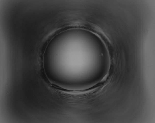 X0000100391304200806061246