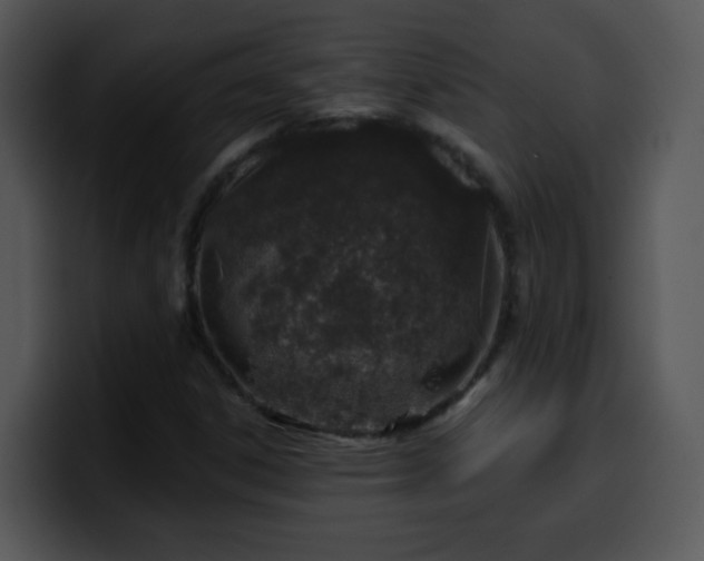 X0000100391306200806061246