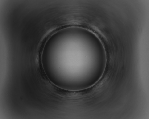X0000100391307200806061246
