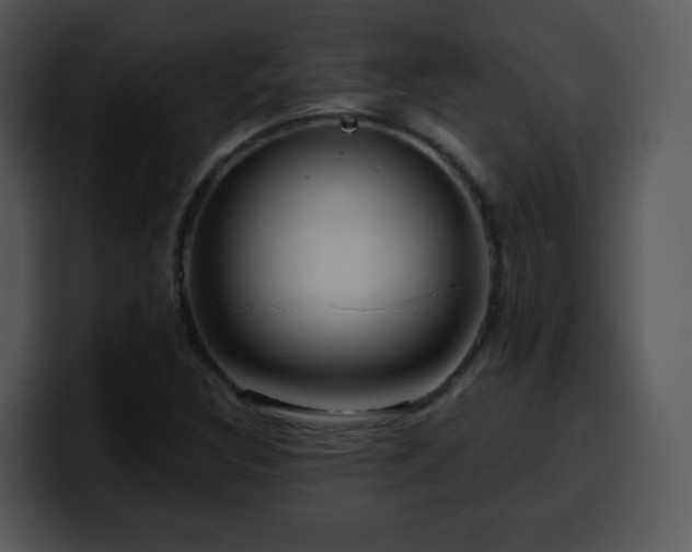 X0000100391308200806061246