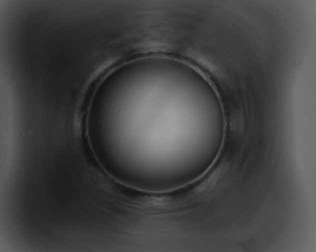 X0000100391309200806061246