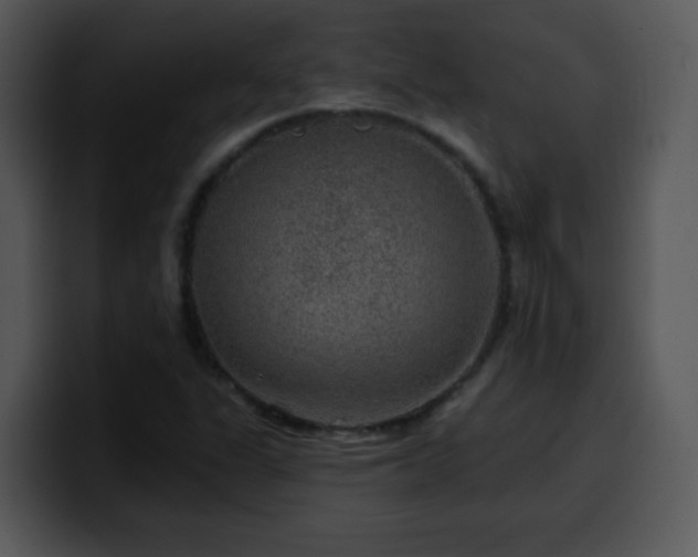 X0000100391311200806061246