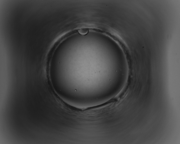 X0000100391312200806061246