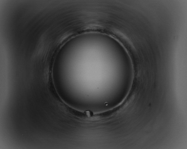 X0000100391313200806061246