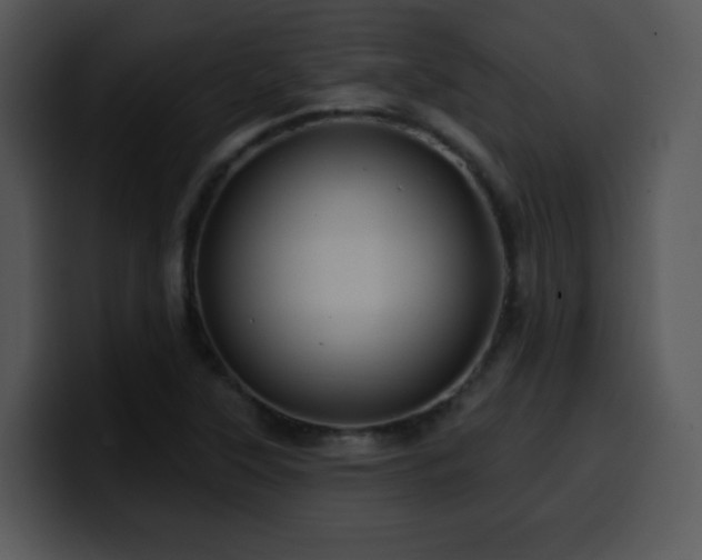 X0000100391315200806061246